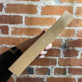 The Judas Rose (Native Tongue 2) - Suzette Haden Elgin - 1988 The Women’s Press Paperback - Oena Armstrong Cover