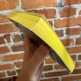 Warlock and Son - Christopher Stasheff - 1991 Ace Books Paperback - Martin Andrews Cover