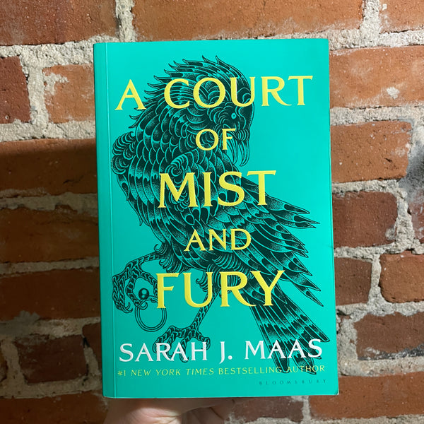 A Court of Mist and Fury - Sarah J. Maas - Paperback