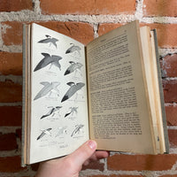 A Field Guide to the Birds - Roger Tory Peterson - 1939 Illustrated Houghton Mifflin Company Hardback