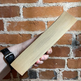 Raising the Stones - Sheri S. Tepper - Paperback - Alan Ayers Cover