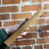 Pilgrimage To Earth - Robert Sheckley - 1978 Ace Books Paperback