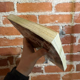 The Patchwork Girl - Larry Niven - SIGNED 1980 Ace Trade Paperback