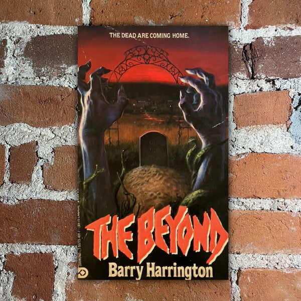 The Beyond - Barry Harrington - 1991 Diamond Books Paperback