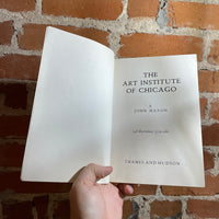 The Art Institute of Chicago - John Amazon - Paperback