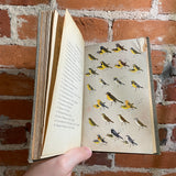 A Field Guide to the Birds - Roger Tory Peterson - 1939 Illustrated Houghton Mifflin Company Hardback