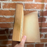 Light Source - Bari Wood - 1985 Signet Books Paperback