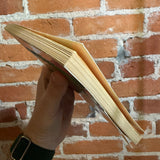 Night of the Living Dummy II - R.L. Stine - Goosebumps Scholastic Trade Paperback