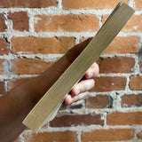 The Planet Wizard - John Jakes - 1977 Ace Books Paperback - Alex Abel Cover