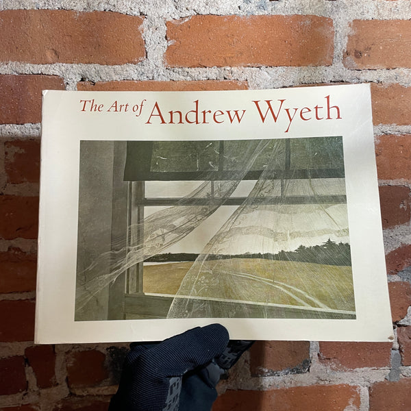 The Art of Andrew Wyeth - Wanda M. Corn - 1973 1st Ed. Paperback