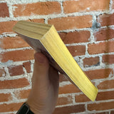 Systemic Shock - Dean Ing - 1981 Ace Books Paperback