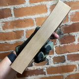 Blood Offerings - Robert D. San Souci - 1985 Leisure Books Paperback