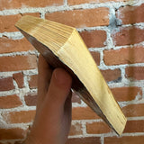 Living Things - John Russo - 1988 Warner Books Paperback - Mark & Stephanie Gerber Cover