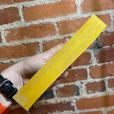 Isaac Asimov’s Giants - 1985 Signet Books Paperback