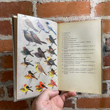 A Field Guide to the Birds - Roger Tory Peterson - 1939 Illustrated Houghton Mifflin Company Hardback