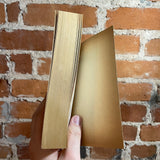 The Broken Land - Ian McDonald - 1993 Bantam Books Paperback - Stephen Youll Cover