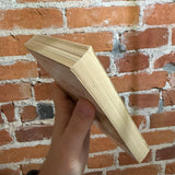 The Philosophy of Aristotle - Renford Bambrough - 1963 13th Mentor Books Paperback