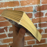 Fire in the Ashes - William W. Johnstone - 1985 3rd Zebra Books Paperback