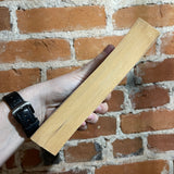 After Long Silence - Sheri S. Tepper - Paperback