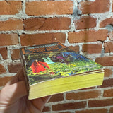 Warlock and Son - Christopher Stasheff - 1991 Ace Books Paperback - Martin Andrews Cover