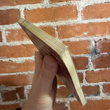 The Wold in the Garden - Alfred H. Bill - 1972 Centaur Press Paperback - Virgil Finley Cover