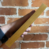 The Brains of Earth / The Many Worlds of Magnus Ridolph 1966 Jack Gaughan Cover Ace Books Double