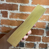 Chapterhouse: Dune - Frank Herbert 1987 Ace Books vintage paperback - Foil Embossed Raised Letters on cover