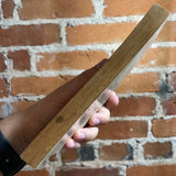 Earth Lies Sleeping - Laurence James - 1974 Zebra Books Paperback