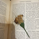 Our Faith and the Facts - Compiled Reverend C.F. Donovan - Hardback