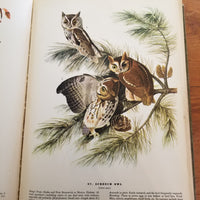 The Birds of America -John James Audubon 1937 The Macmillan Company vintage hardback