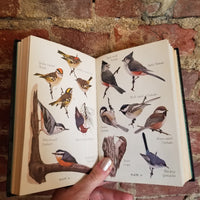 Audubon Bird Guide: Eastern Land Birds - Richard H. Pough 1949 Doubleday & Company vintage hardback