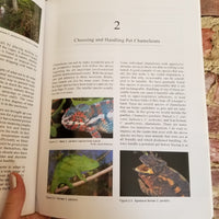 Chameleons - Linda J. Davison 1997 Hancock House Publishing paperback