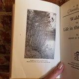 Walden or Life in the Woods - Henry David Thoreau 1906 Riverside Library edition Houghton Mifflin Co vintage hardback