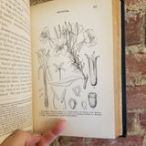 How to Study Plants -  Alphonso Wood 1882 A.S. Barnes & Co vintage hardback