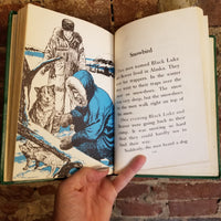 More Dog Stories in Basic Vocabulary- Edward W. Dolch 1962 Garrad Publishing vintage hardback
