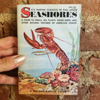 Seashores - Herbert S. Zim 1955 Golden Press vintage paperback
