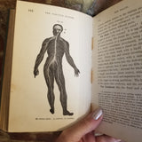 Hygienic Physiology : with Special Reference to the Use of Alcoholic Drinks and Narcotics - Joel Dorman Steele 1888 American Book Co hardback