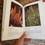 Wildflowers of the Shenandoah Valley and Blue Ridge Mountains - Oscar W. Gupton  1982 University Press of Virginia vintage hardback