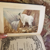 Animals- The Nature Library -  Ernest Thompson Seton 1927 Doubleday, Page & Co vintage hardback