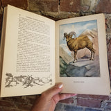Animals- The Nature Library -  Ernest Thompson Seton 1927 Doubleday, Page & Co vintage hardback