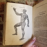 Intermediate Anatomy, Physiology, and Hygiene: Including Scientific Instructions Upon the Effects of Narcotics and Stimulants Upon the Human Body-  John Clarence Cutter 1887 J.B. Lippincott Co vintage hardback