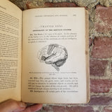 Intermediate Anatomy, Physiology, and Hygiene: Including Scientific Instructions Upon the Effects of Narcotics and Stimulants Upon the Human Body-  John Clarence Cutter 1887 J.B. Lippincott Co vintage hardback