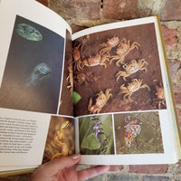 John Muir's Wild America - 1976 National Geographic Society Illustrated HB