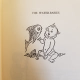 The Water Babies - Charles Kingsley 1954 Junior Deluxe Edition vintage hardback