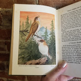 BIRDS WORTH KNOWING: Little Nature Library -  Neltje Blanchan 1925 Doubleday, Page & Co vintage HB