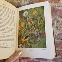 BIRDS WORTH KNOWING: Little Nature Library -  Neltje Blanchan 1925 Doubleday, Page & Co vintage HB