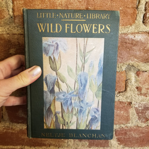 Wild Flowers Worth Knowing - Neltje Blanchan 1922 Doubleday, Page & Co vintage HB