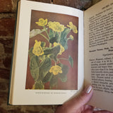 Wild Flowers Worth Knowing - Neltje Blanchan 1922 Doubleday, Page & Co vintage HB