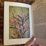 Wild Flowers Worth Knowing - Neltje Blanchan 1922 Doubleday, Page & Co vintage HB