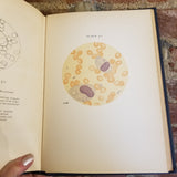 Atlas of the Blood in Children - Kenneth D. Blackfan 1948 The Commonwealth Fund vintage HB